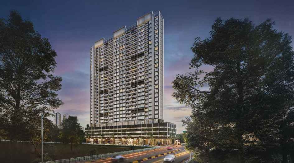 Mangroves-Elevation-Image-Evening