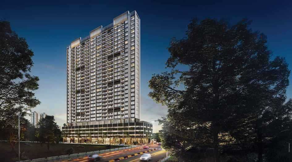 Mangroves-Elevation-Image-Night